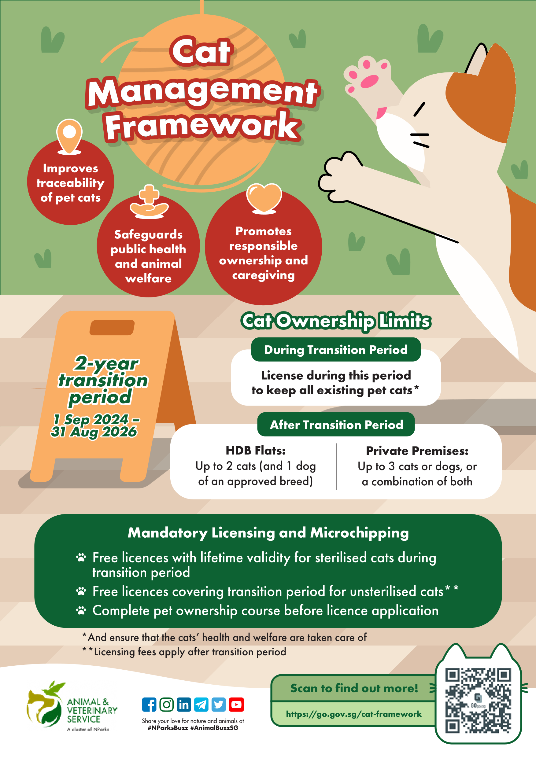 An infographic on an overiew of the cat management framework